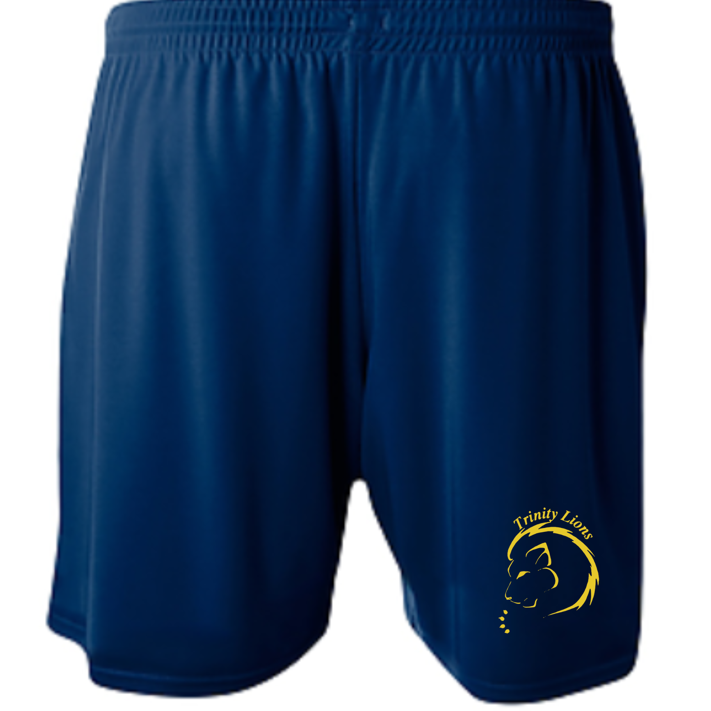 Holy Trinity 9" Shorts