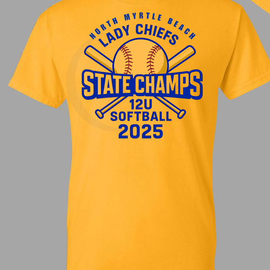 All Stars Softball 12u States