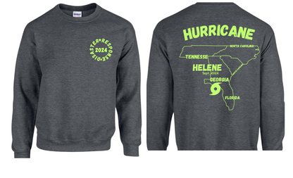 Disaster Response 2024 Hurricane Helene Shirts